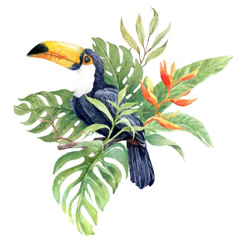 Aquarelle oiseau Toucan dans un bouquet tropical des éléments. vecteur