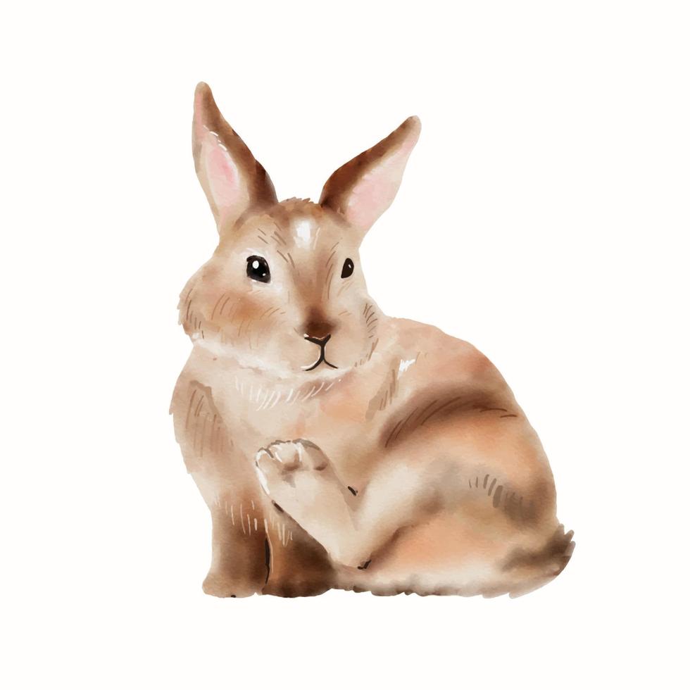 illustration aquarelle de lapin de pâques isolé sur fond blanc. vecteur de dessin à la main de lapin mignon