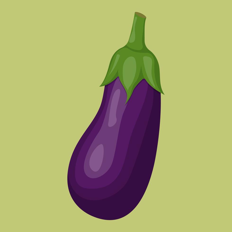 aubergine entière isolée sur fond. illustration vectorielle plane vecteur