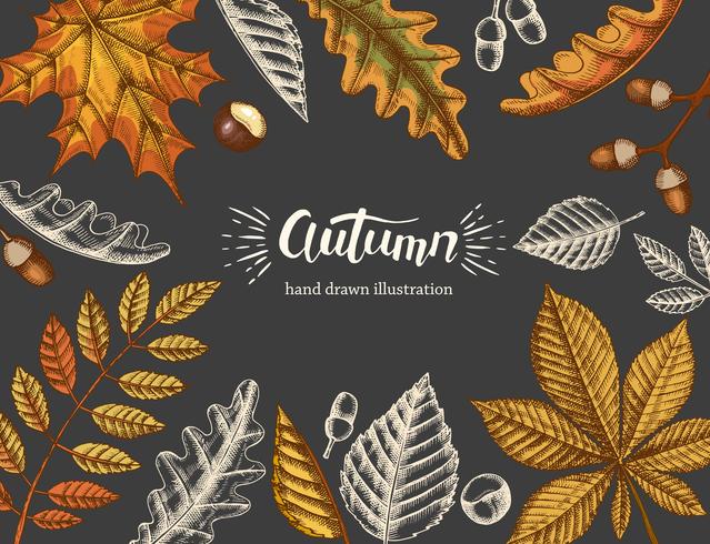Vintage fond d&#39;automne avec main dessinée doodle et feuilles colorées sur fond noir vecteur