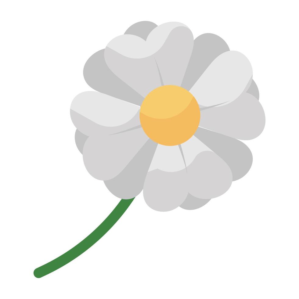 icône plate moderne de fleur de jasmin vecteur