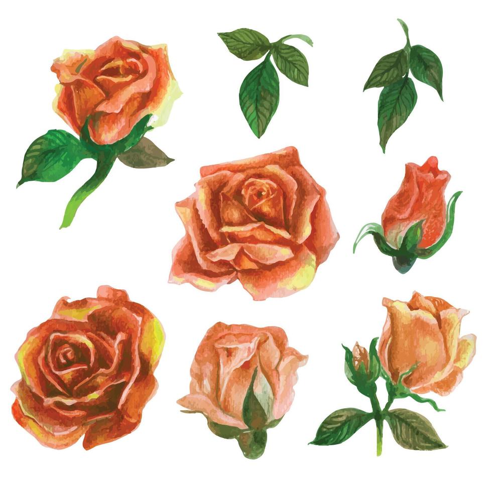ensemble d'éléments aquarelles roses. illustration vectorielle. vecteur