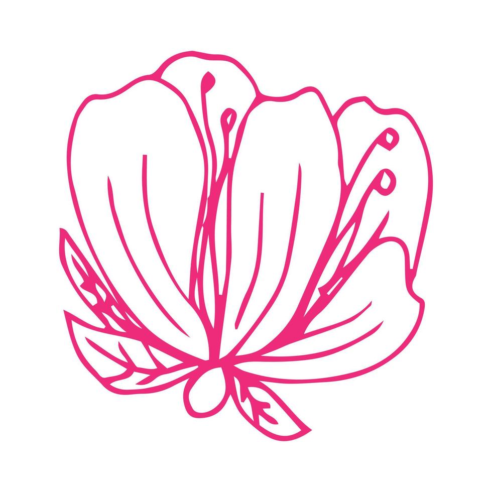 ligne d'art floral. fleurs de sakura ou de pommier en vecteur isolé sur fond blanc. fleurs de printemps dessinées en ligne noire et blanche. icône ou symbole du printemps et contour flowers.doodle. esquisser.