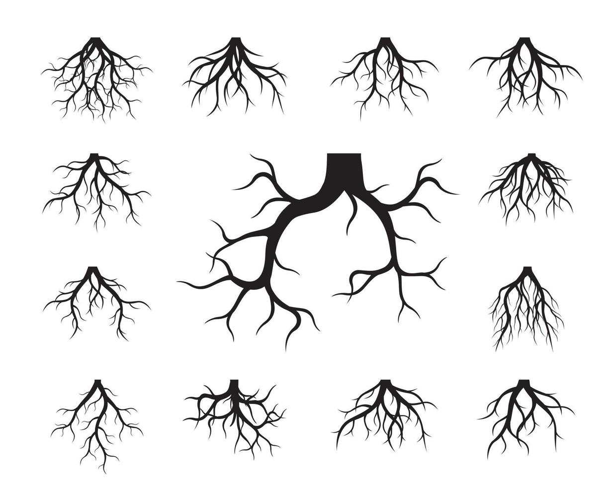 ensemble de racines d'arbres noirs. illustration de contour de vecteur et image de la nature.