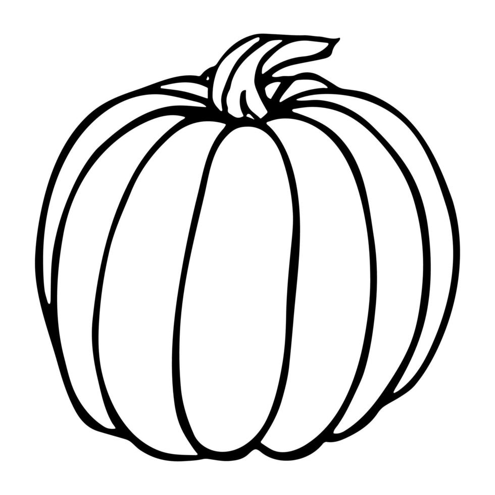 illustration vectorielle dessinée à la main de citrouille. objet isolé sur fond blanc. clipart de récolte de légumes. produit du marché agricole. éléments pour la conception d'automne, la décoration. vecteur