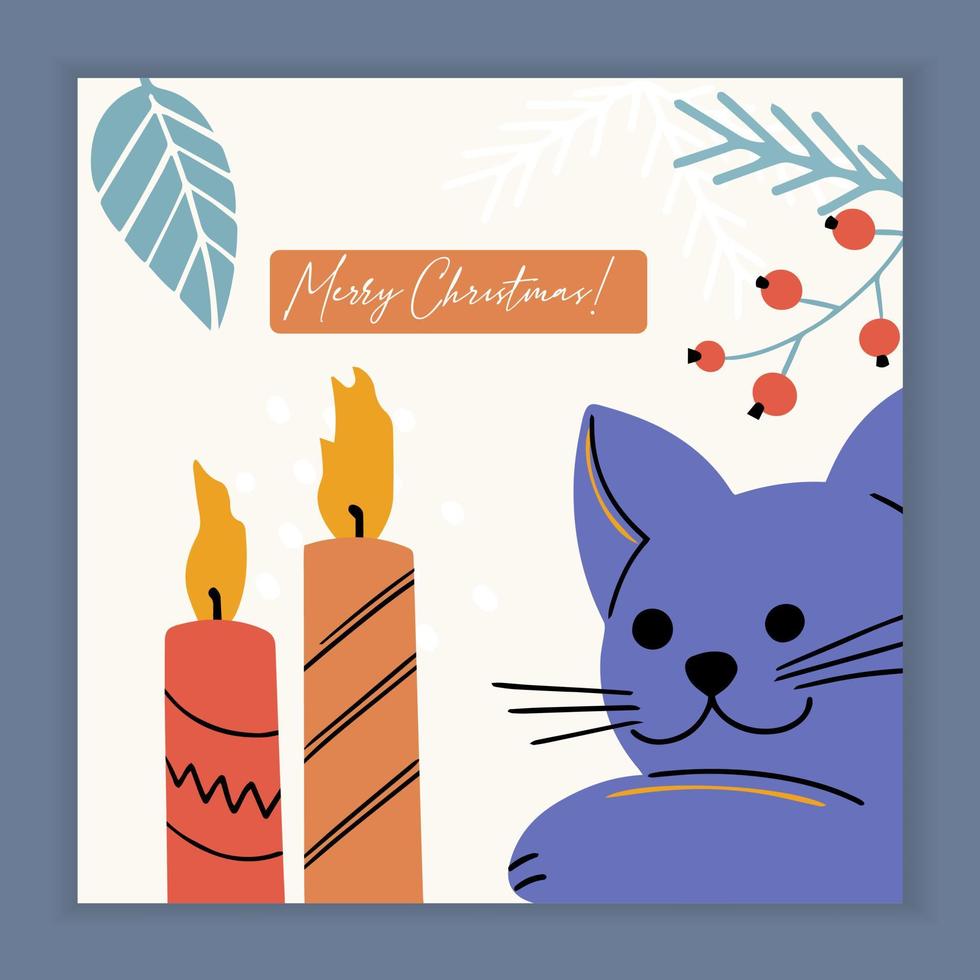 carte de joyeux noël avec chat minou et éléments et symboles de vacances. vecteur