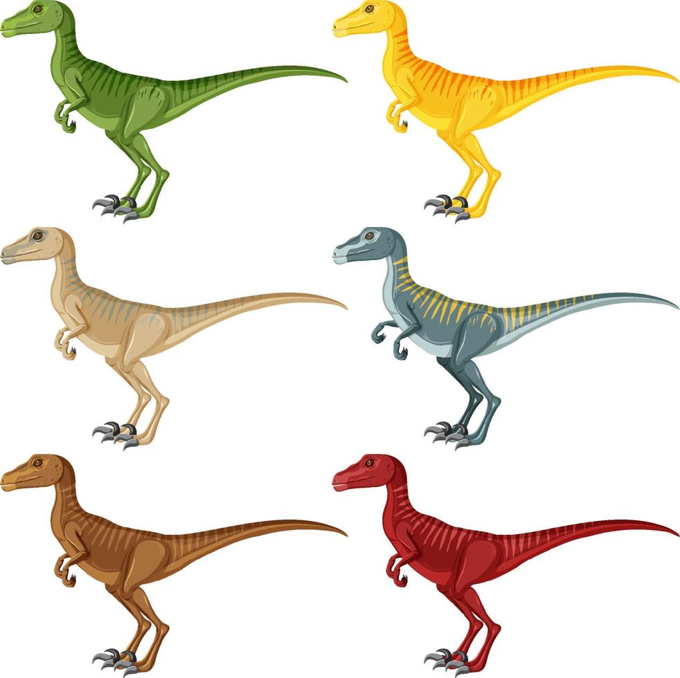 Un ensemble de dinosaures vélociraptor sur fond blanc vecteur