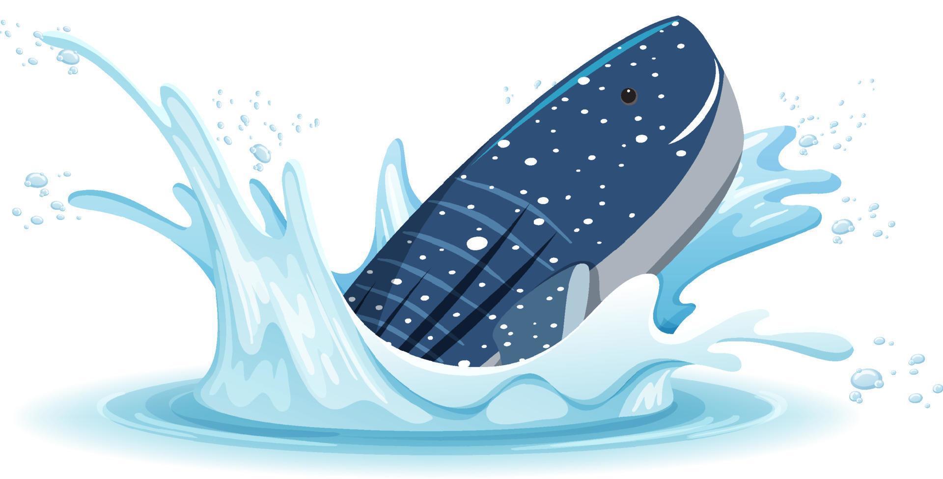 une éclaboussure d'eau avec une baleine sur fond blanc vecteur