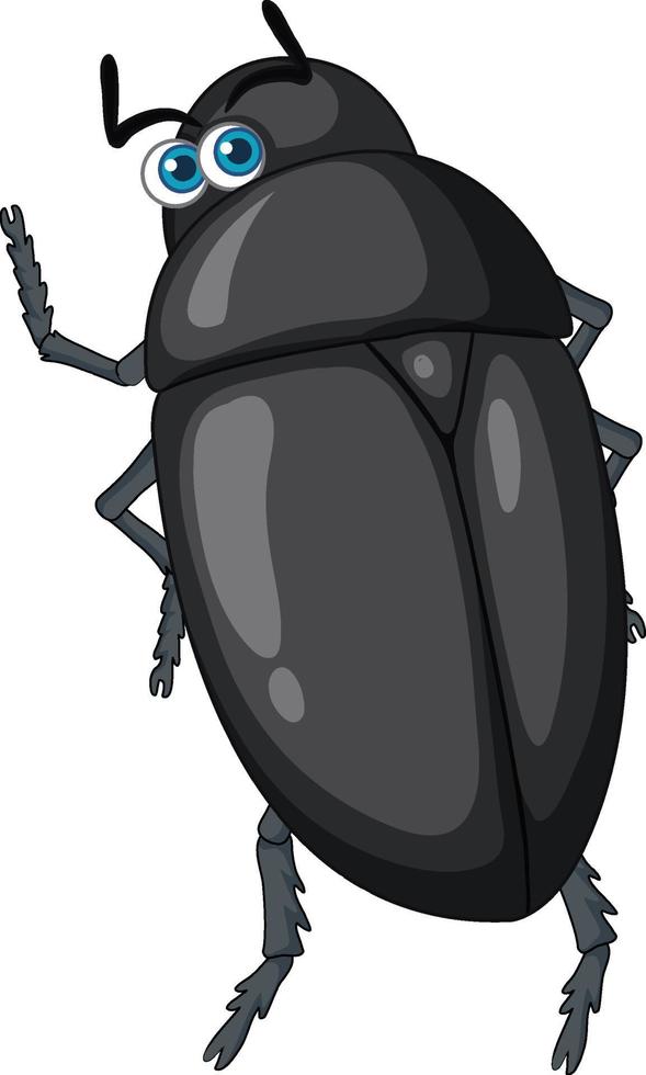 un personnage de dessin animé de coléoptère noir isolé vecteur
