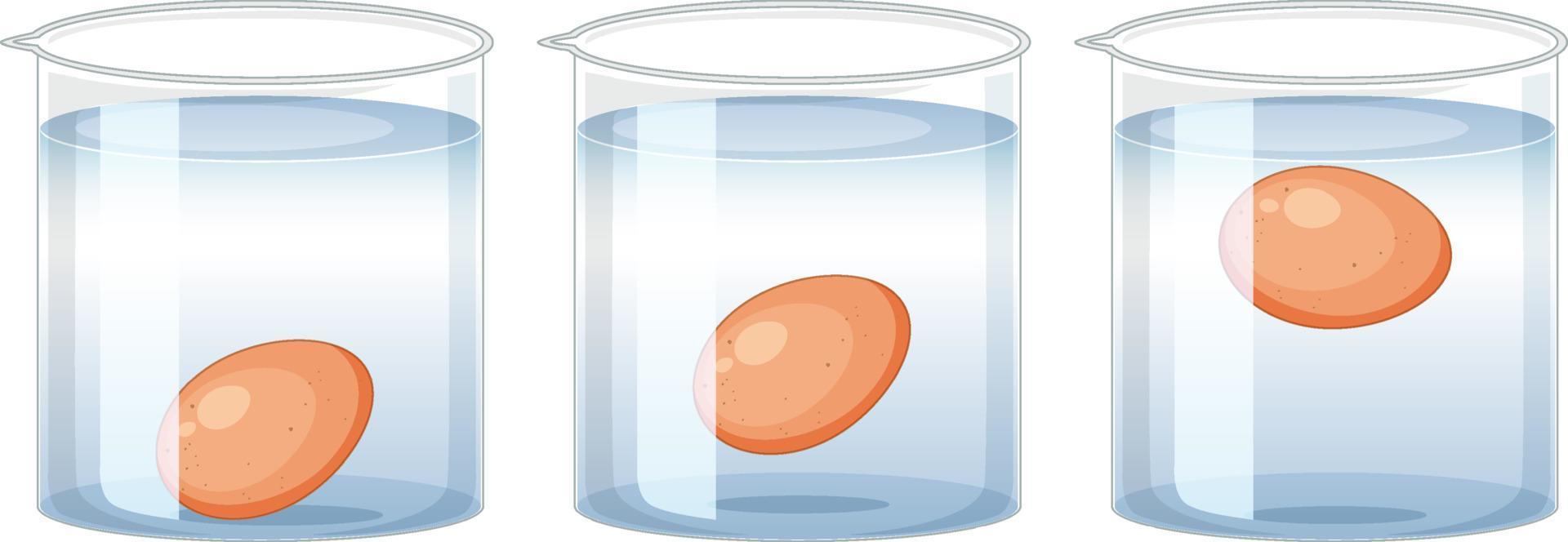 expérience scientifique avec des œufs de test pour la fraîcheur vecteur
