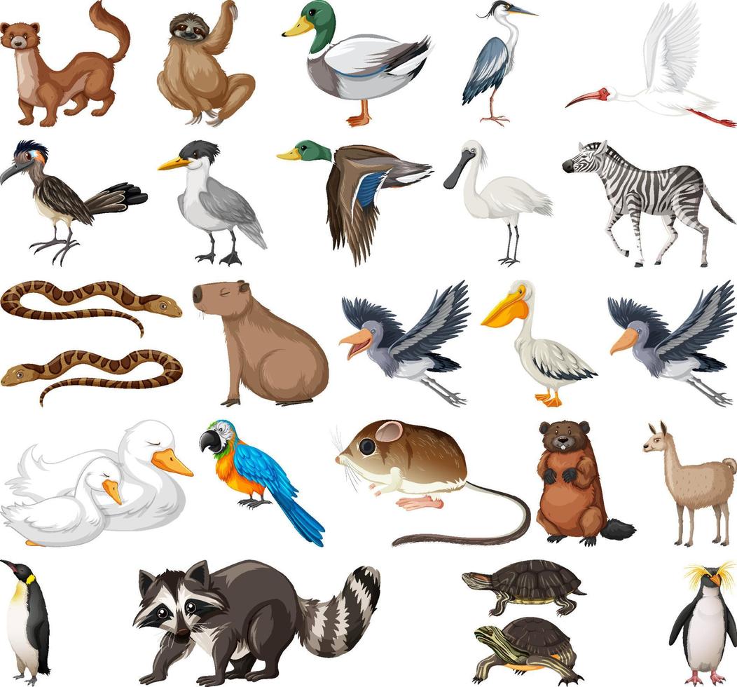 collection de différents types d'animaux vecteur