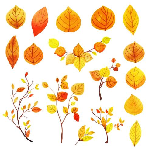 Belle collection de feuilles d&#39;automne aquarelle vecteur