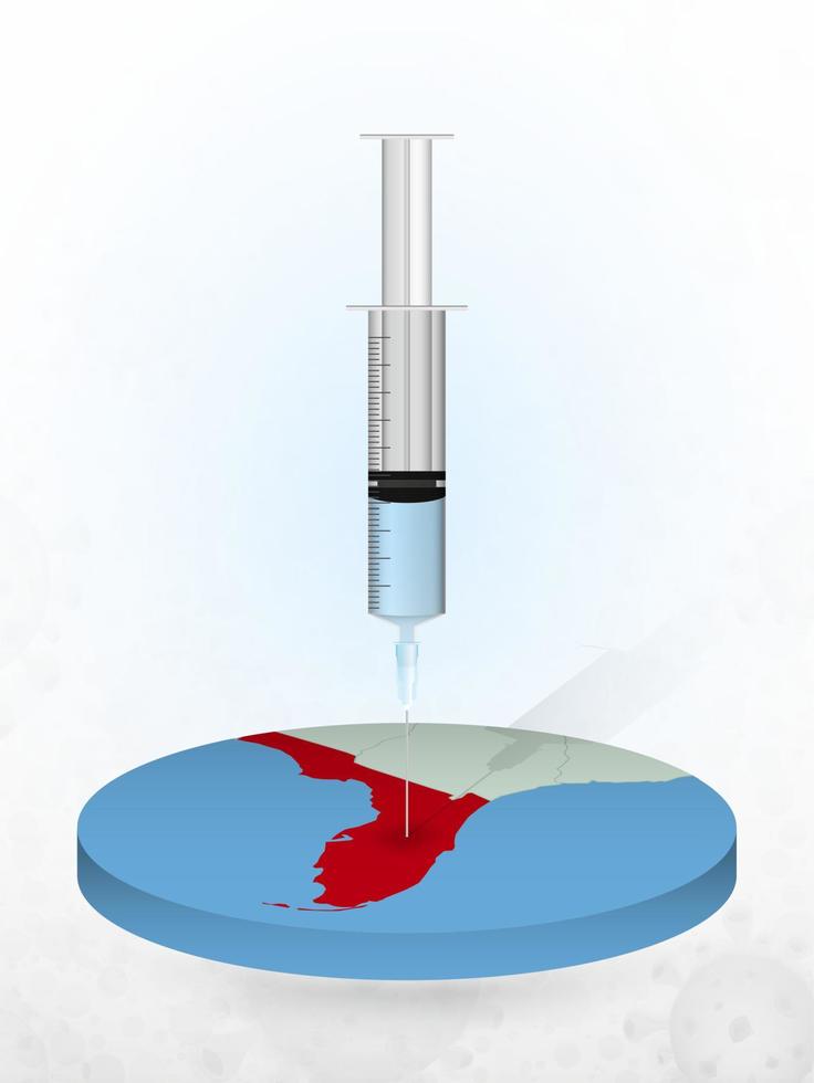 vaccination de la floride, injection d'une seringue dans une carte de la floride. vecteur