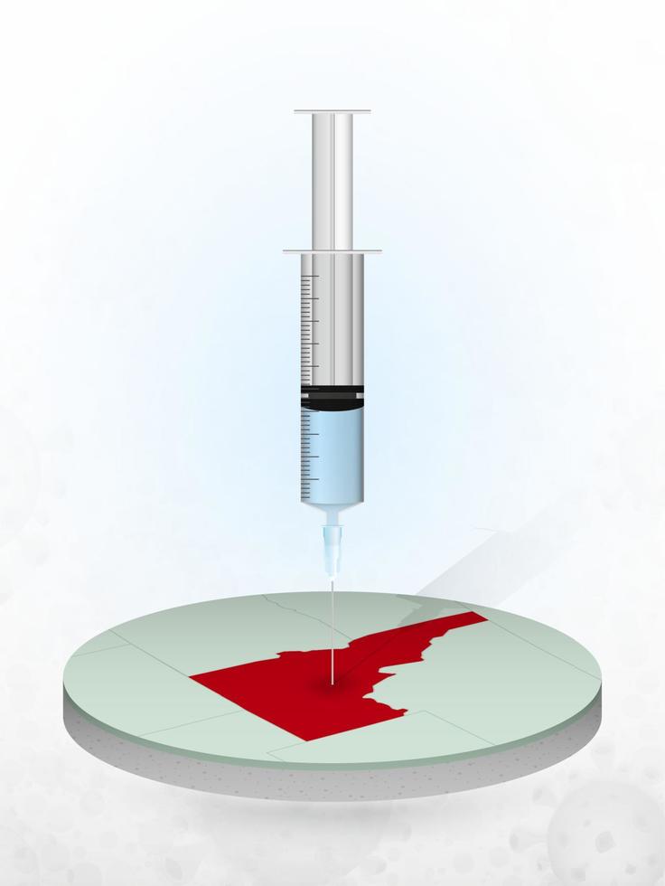 vaccination de l'idaho, injection d'une seringue dans une carte de l'idaho. vecteur