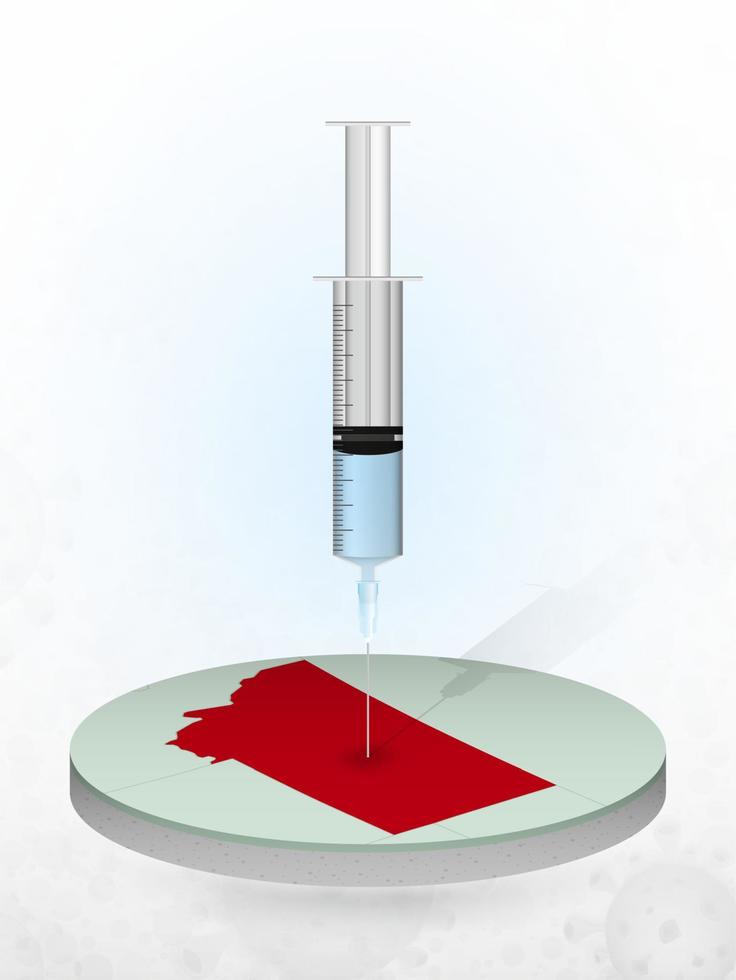 vaccination du montana, injection d'une seringue dans une carte du montana. vecteur
