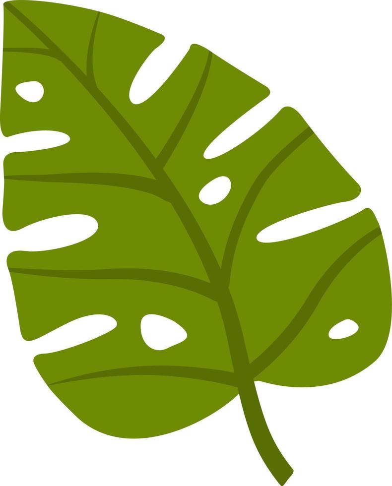 feuille verte de gros plan de monstera sur fond blanc. illustration isolé fond blanc. fond d'écran nature. vecteur