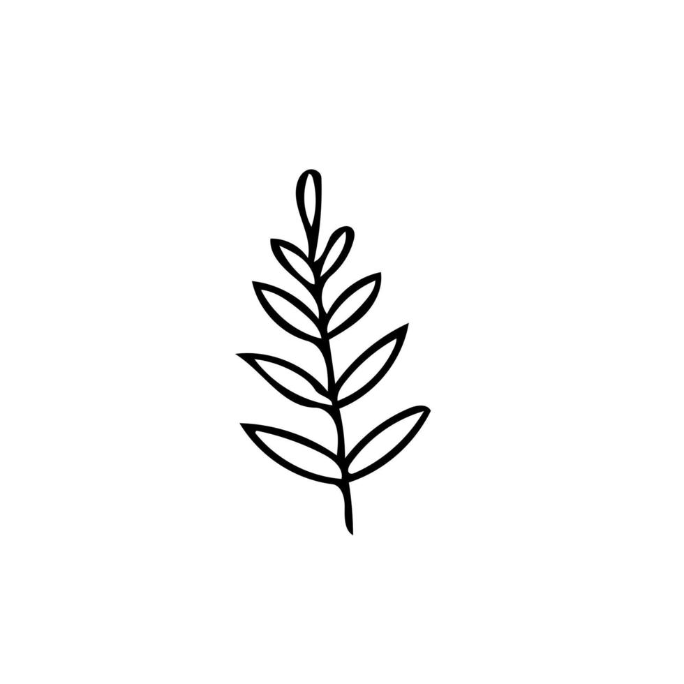 feuille dans un style dessiné à la main. style de doodle simple scandinave. été, automne, nature, plante. élément de décor, carte d'icône vecteur
