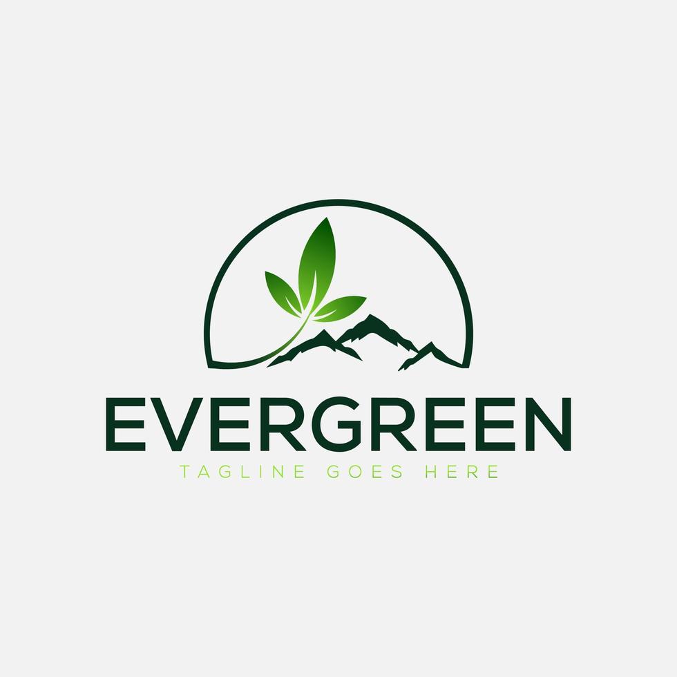 vecteur gratuit de conception de logo typique à feuilles persistantes