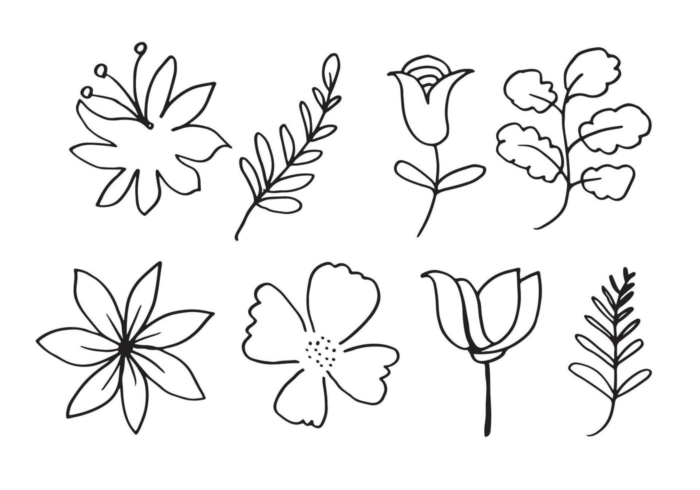 une collection d'images de fleurs dessinées à la main telles que des campanules, des chrysanthèmes, des tournesols, des fleurs de coton et des feuilles tropicales vecteur