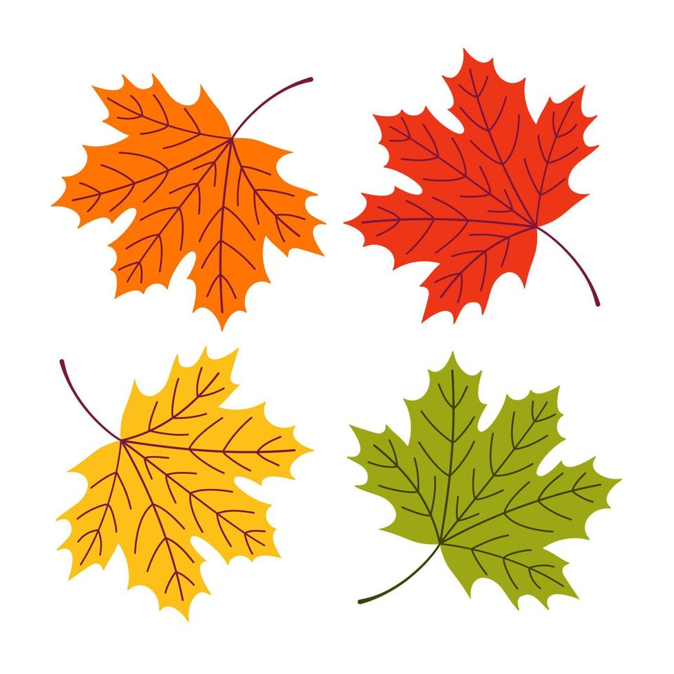un ensemble de feuilles d'érable d'automne de différentes couleurs sur un fond blanc isolé. illustration plate de vecteur. vecteur