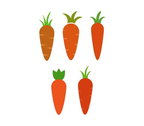 Icônes de carottes sur fond blanc vecteur