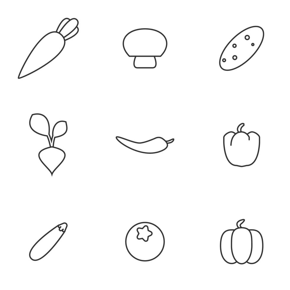 illustration vectorielle sur le thème des légumes vecteur