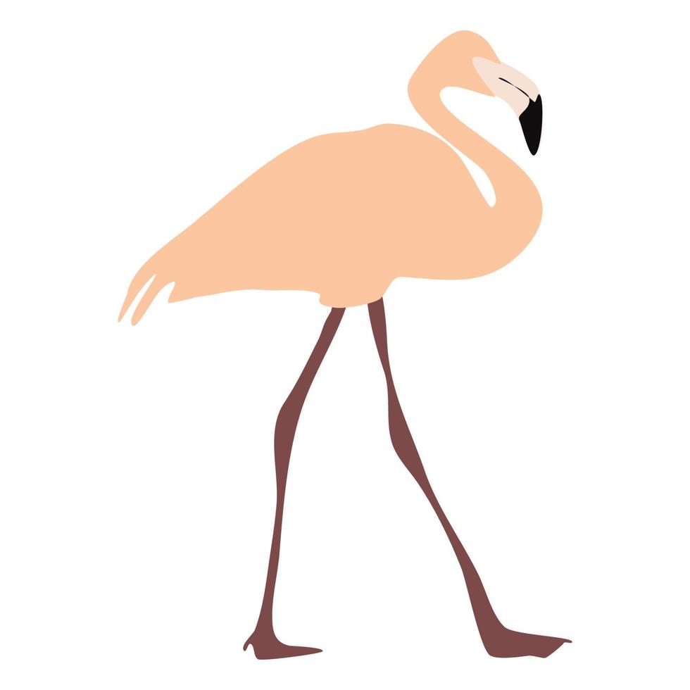 Flamant rose. oiseau. animaux d'afrique et d'asie. tendance, été, vacances vecteur