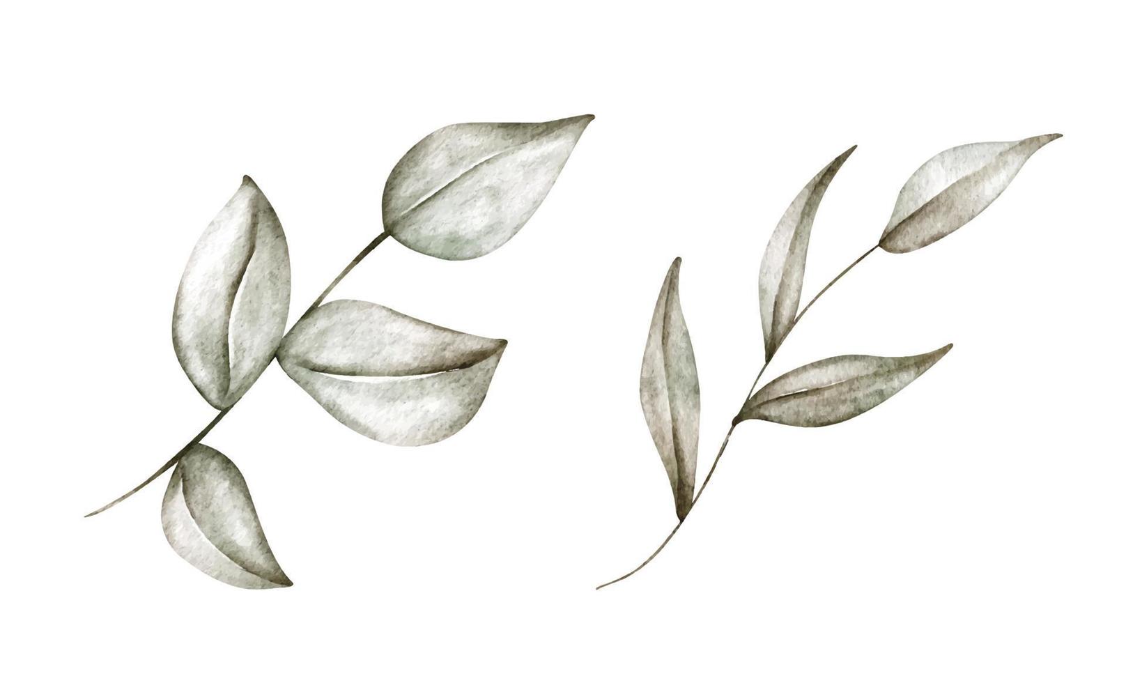 ensemble de branches vertes avec des feuilles. illustration aquarelle. vecteur