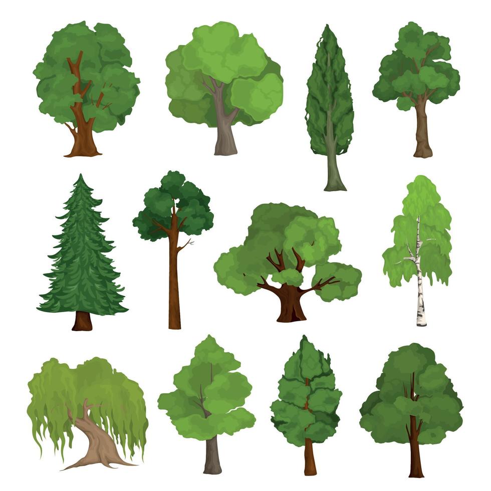 ensemble d'espèces isolées d'arbres vecteur