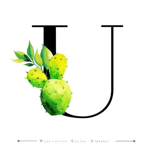 Alphabet Lettre U avec Cactus Aquarelle et Feuilles vecteur