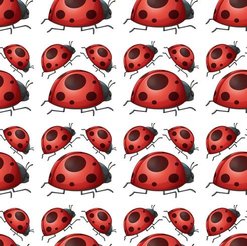 Modèle de coccinelle transparente et isolée vecteur