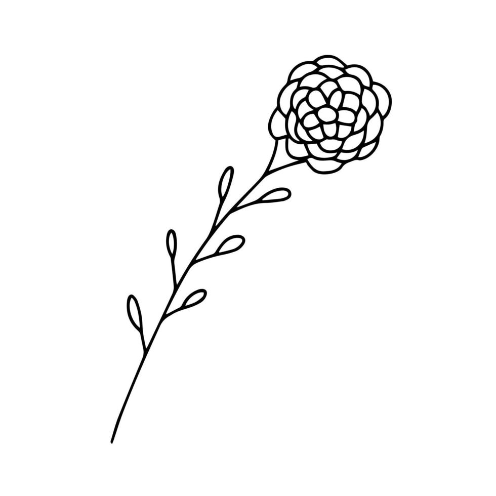 délicat croquis noir et blanc d'une fleur de printemps. illustration vectorielle dans un style dessiné à la main. vecteur