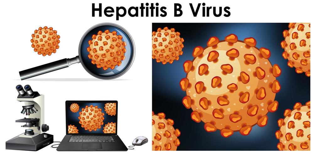 Gros plan d&#39;un objet isolé du virus de l&#39;hépatite B vecteur