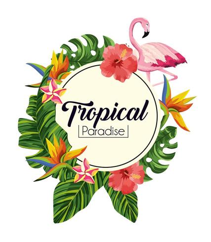 étiquette avec des fleurs tropicales avec des feuilles exotiques vecteur