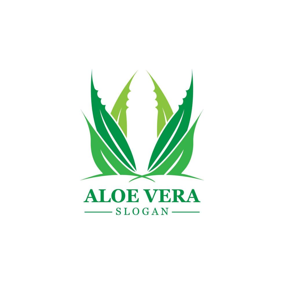 plante verte aloe vera logo vecteur icône symbole de nombreux avantages