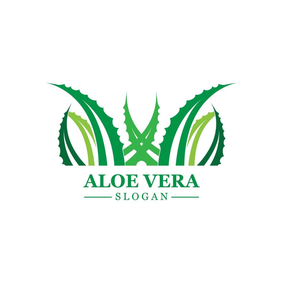 plante verte aloe vera logo vecteur icône symbole de nombreux avantages