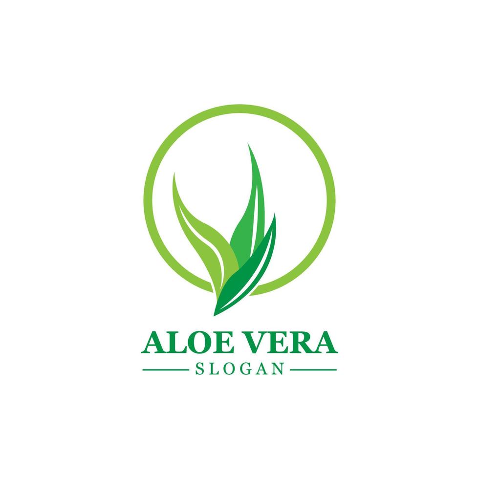 plante verte aloe vera logo vecteur icône symbole de nombreux avantages