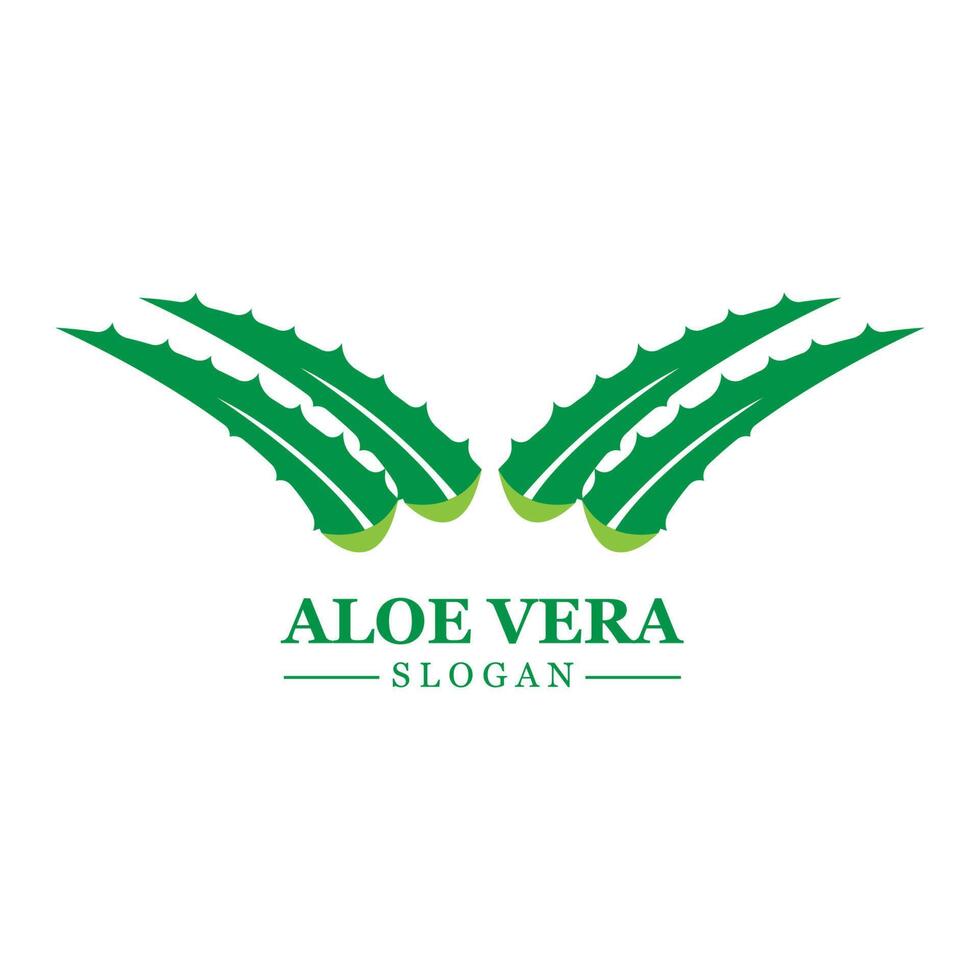 plante verte aloe vera logo vecteur icône symbole de nombreux avantages