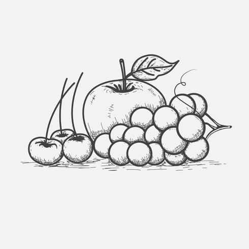 Dessin au trait de cerises de fruits et de raisins vecteur