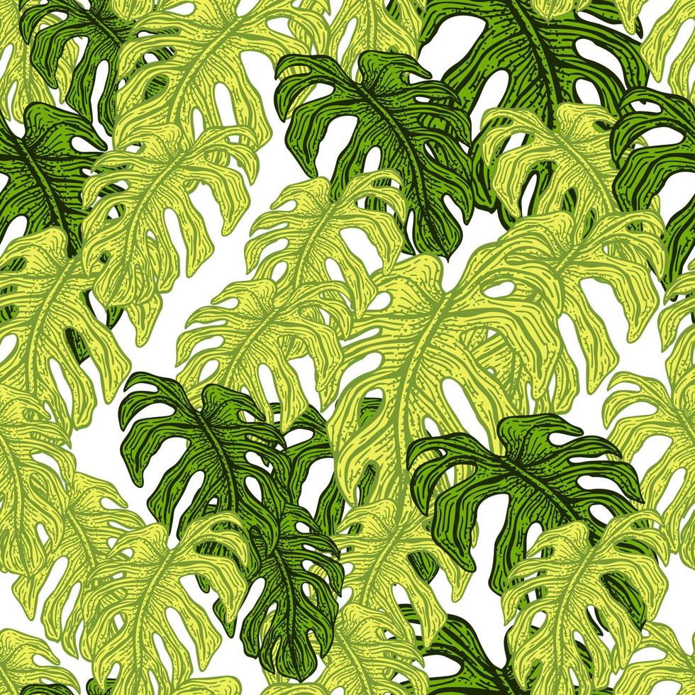 modèle sans couture de feuille de monstera. branche tropicale vintage dans le style de gravure. vecteur