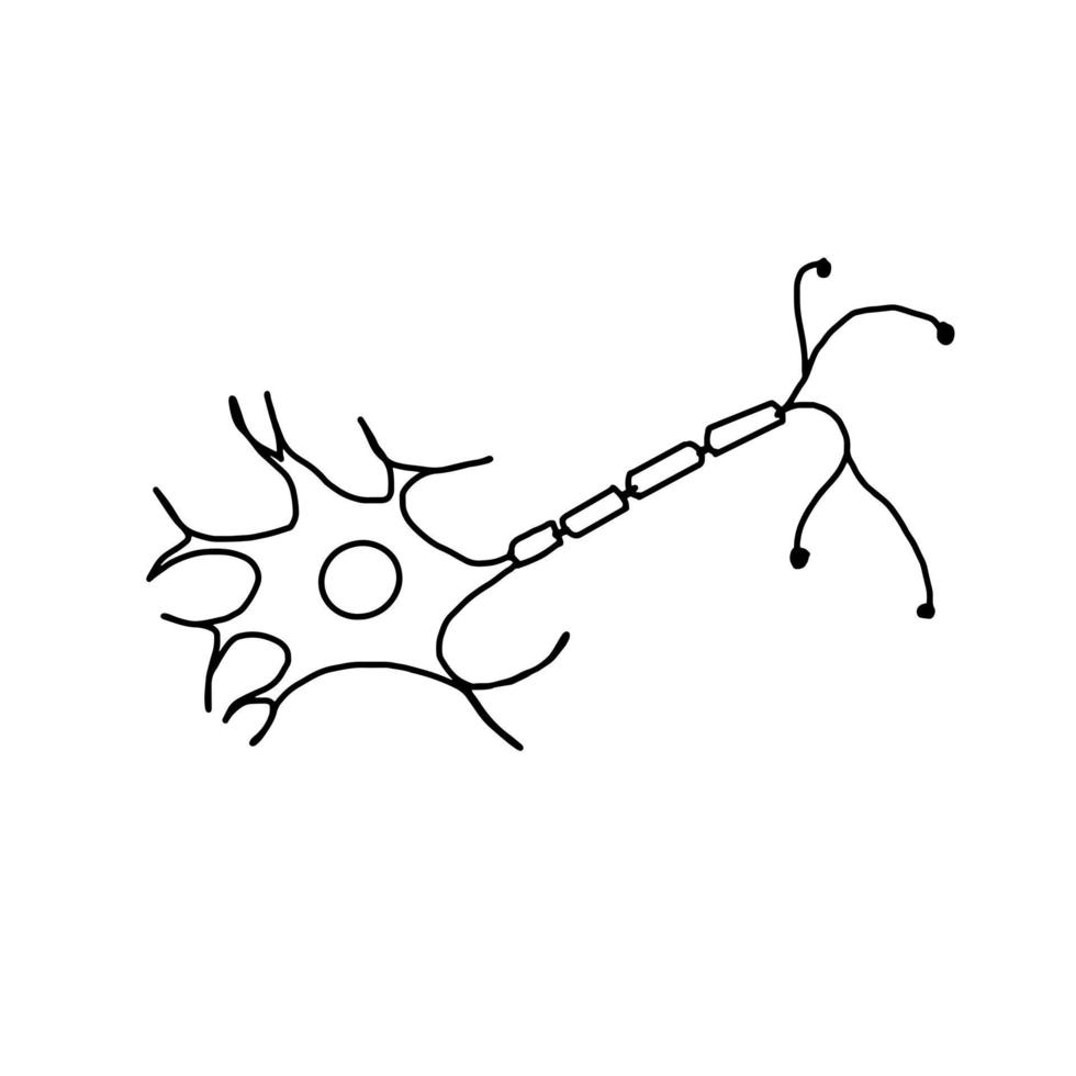 cellule nerveuse cerveau cellule de contrôle santé muscle biologie doodle vecteur