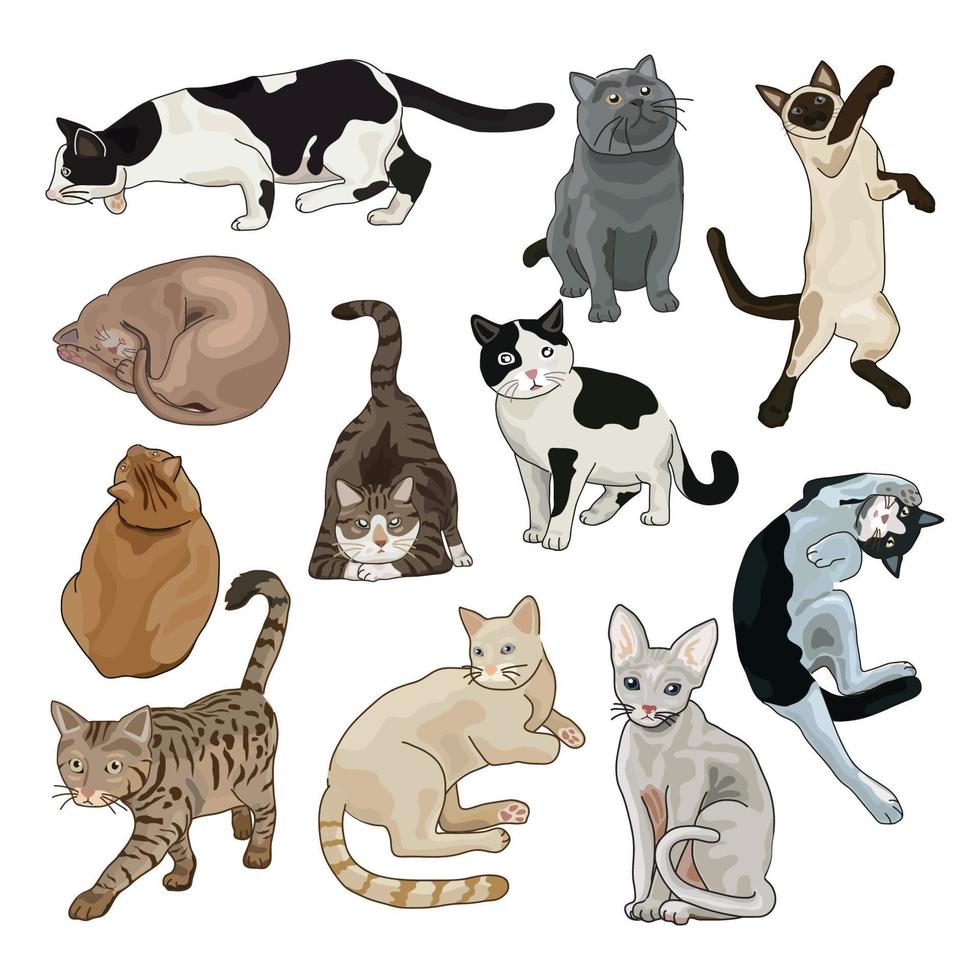 jeu de dessin animé de chat mignon. illustration vectorielle pour la conception. vecteur