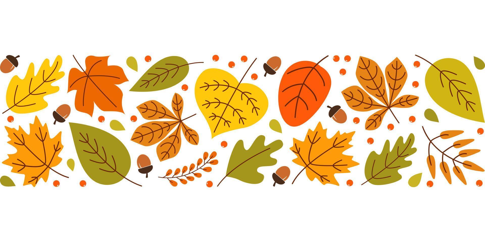 fond d'automne avec des feuilles de saison colorées, des baies, des glands sur fond blanc. large bande horizontale lumineuse . illustration vectorielle vecteur