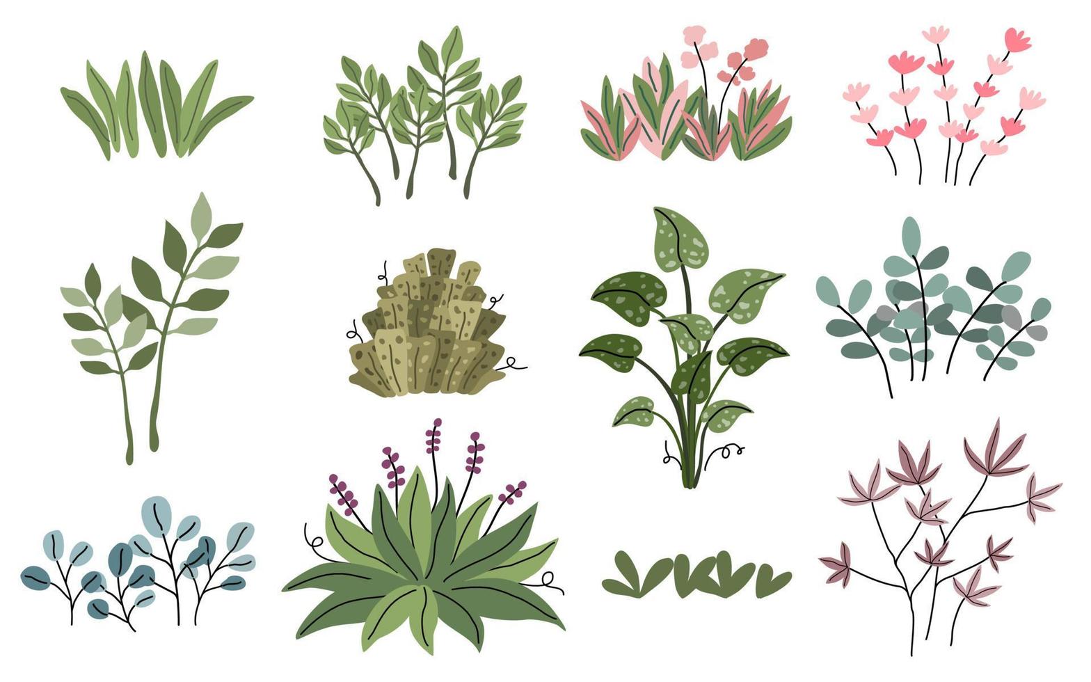 collection de vecteurs de plantes et de feuilles dans un style doodle, elle peut être adaptée à un large éventail d'applications vecteur
