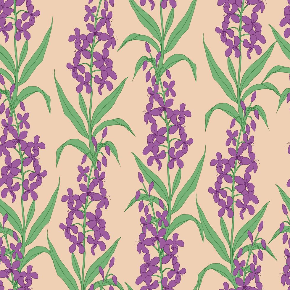 motif botanique vectoriel harmonieux dans un style écologique avec une plante d'épilobe poilue. fleurs et herbes. pour textiles, tissus, couvertures, papiers peints, impression, emballage cadeau