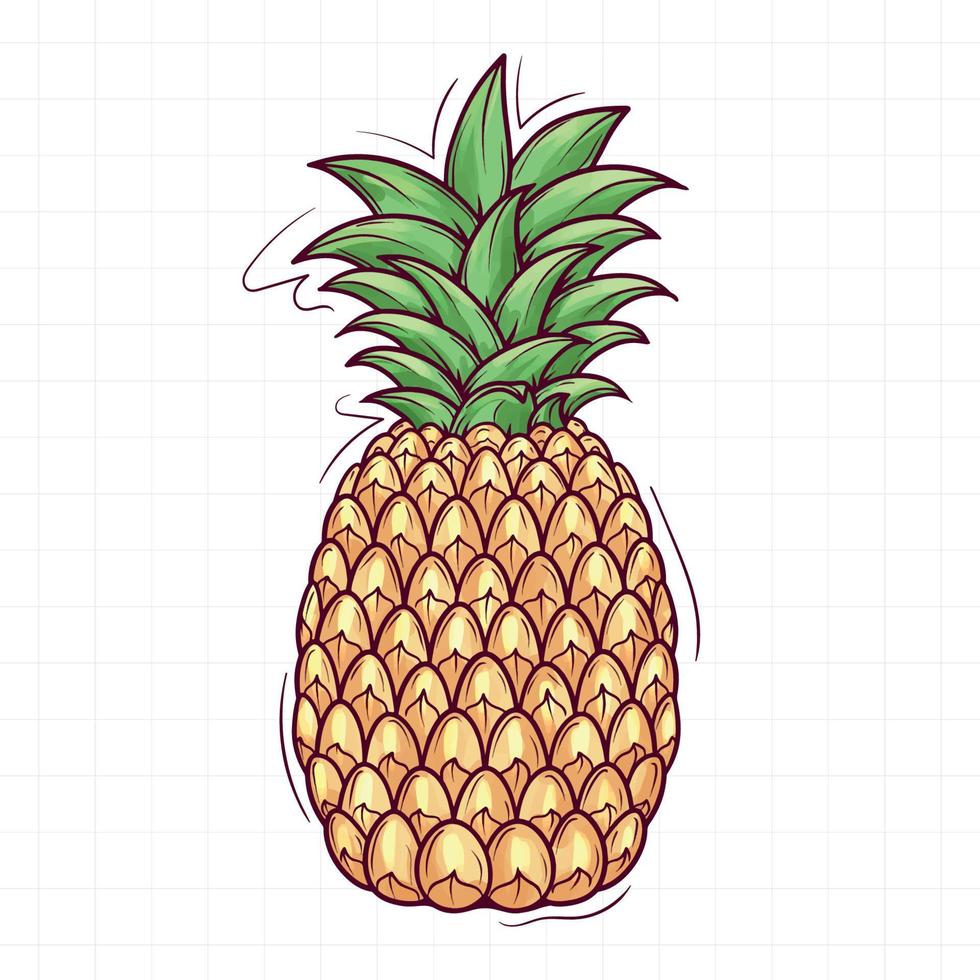 joli ananas dessiné à la main vecteur