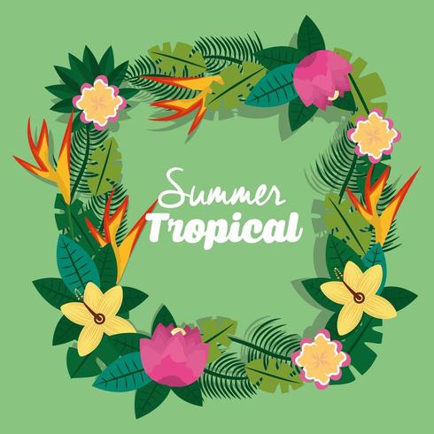 couronne florale de saison tropicale d&#39;été vecteur