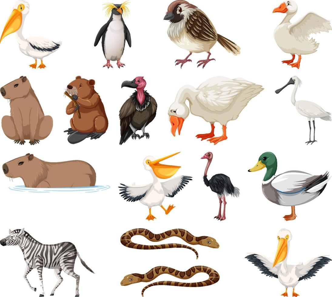 collection de différents types d'animaux vecteur