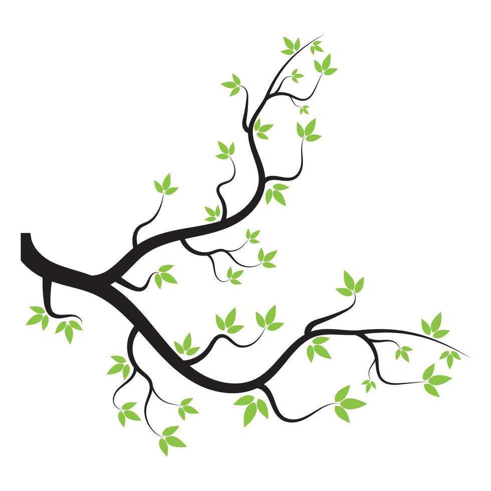 branche arbre illustration vectorielle été clipart automne clipart nature forêt vecteur