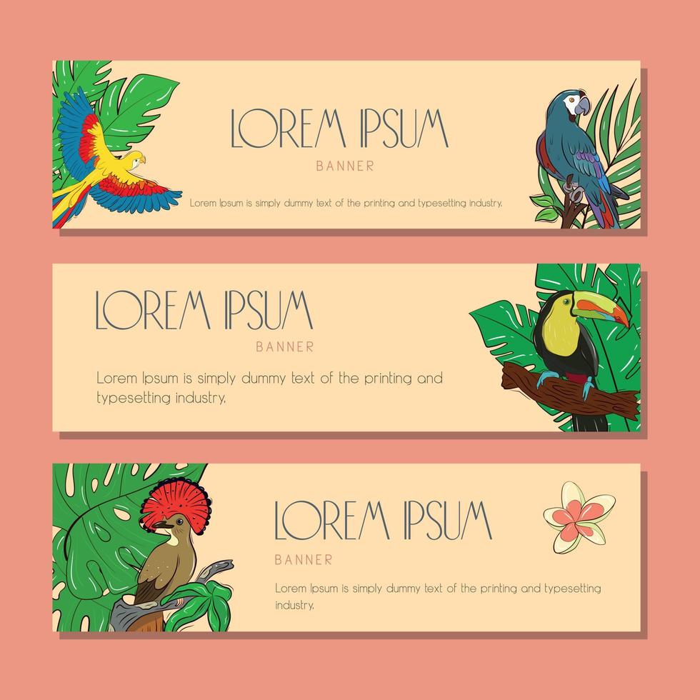 un ensemble de bannières vectorielles horizontales sur le thème de la jungle tropicale avec des oiseaux colorés vecteur